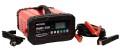 PROSTOWNIK WELDMAN INWENTOROWY SMART 250  12V/24V Z ROZRUCHEM