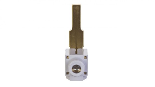 Zacisk szynowy Z-EK/50 264934
