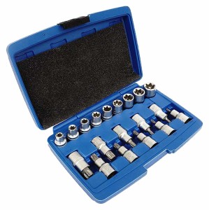 SILVER ZESTAW NASADEK TORX 19el.