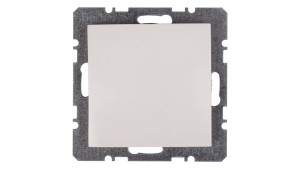 Berker/B.Kwadrat Zaślepka z elementem centralnym śnieżnobiała S.1/B.3/B.7 Glas 10098989
