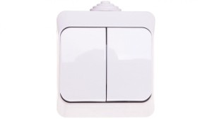 Cedar Plus Łącznik świecznikowy biały IP44 WDE000550