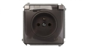 Simon Basic Gniazdo bryzgoszczelne z/u IP44 z klapką dymną stal inox BMGZ1B.01/21a