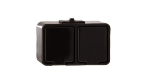 Cedar Gniazdo hermetyczne podwójne z/u 16A IP44 czarne Nt-230H NT230H05