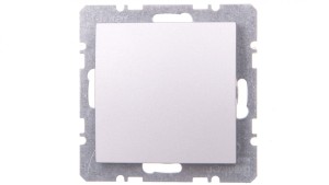Berker/B.1/B.3/B.7 Glas Zaślepka z elementem centralnym aluminium 10091404
