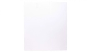 Rozdzielnica modułowa 1x12 podtynkowa IP40 Mini Pragma MIP22112