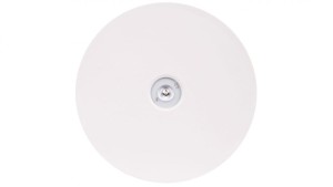Oprawa awaryjna AXN IP65 ECO LED 1W 125lm (opt. otwarta) 1h jednozadaniowa AT biała AXNO/1W/E/1/SE/AT/WH