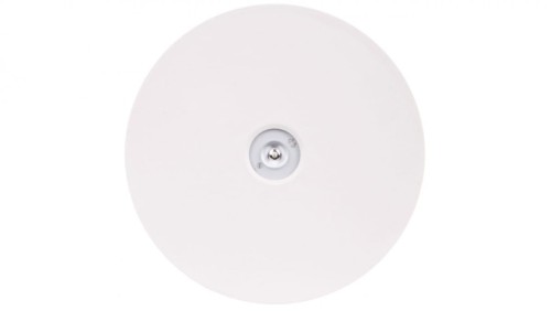 Oprawa awaryjna AXN IP65 ECO LED 1W 125lm (opt. otwarta) 1h jednozadaniowa AT biała AXNO/1W/E/1/SE/AT/WH