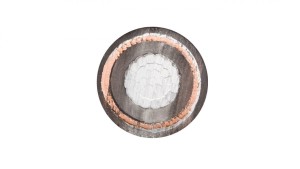 Kabel energetyczny XRUHAKXS 1x120/50 12/20kV /bębnowy/