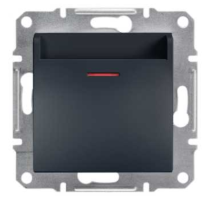 ASFORA Łącznik hotelowy (mechaniczny) bez ramki antracyt EPH6200171