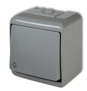 JUNIOR Przycisk /światło/ popielaty IP54 10WHE-5