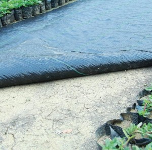 GREENMILL AGROWŁÓKNINA 1,0 x10m  100g/m2  CZARNA...