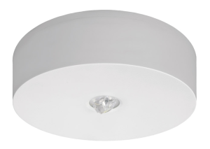 Oprawa awaryjna AXN IP65 LED 6W 590lm optyka otwarta 3h jednozadaniowa AT biała AXNO/6W/B/3/SE/AT/WH