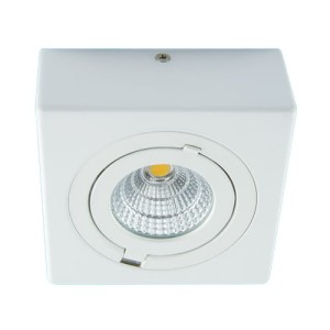 Oprawa sufitowa biała LED D 9W IP20 IGOR Ideus 03128