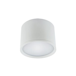 Oprawa sufitowa biała 580lm ROLEN LED 7W 4000K Ideus 03108