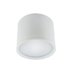 Oprawa sufitowa biała 840lm ROLEN LED 10W 4000K Ideus 03109