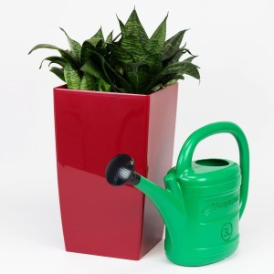PROSPERPLAST KONEWKA SPRING  3l  ZIELONA .