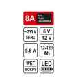 STHOR PROSTOWNIK 6/12V 8A 120Ah LED