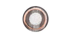 Kabel energetyczny XRUHAKXS 1x70/25 12/20kV /bębnowy/