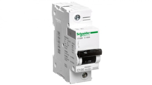 Wyłącznik nadprądowy 1P C 100A 10kA AC C120N A9N18358