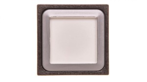 Napęd przycisku 25x25mm biały bez samopowrotu z podświetleniem Q25LTR-WS 087232