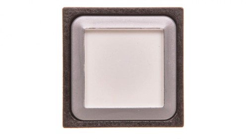 Napęd przycisku 25x25mm biały bez samopowrotu z podświetleniem Q25LTR-WS 087232