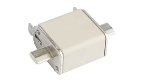Wkładka bezpiecznikowa NH00 100A gF 500V 004114339