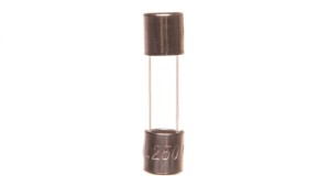 Wkładka aparatowa 5x20mm 0,2A T /zwłoczna/ 250V 006710041 /10szt./