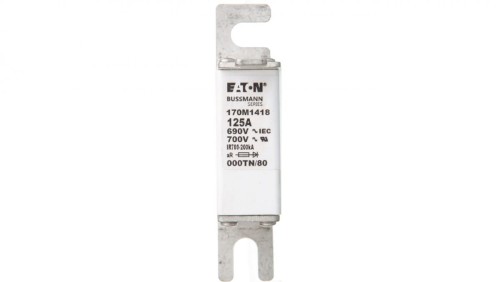 Wkładka bezpiecznikowa NH000 125A aR 690V 170M1418