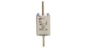 Wkładka bezpiecznikowa NH2C 40A gF 500V 004139391