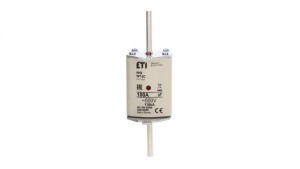 Wkładka bezpiecznikowa NH2C 100A gF 500V 004139395