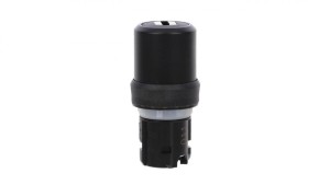 Przełącznik z kluczem 22mm tworzywo 2 poz O-I BKS nr E2 (VW) klucz w poz O /dostawa bez kluczy/ SIRIUS ACT 3SU1000-5RF01-0AA0