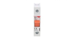 Rozłącznik modułowy LS Electric BKD 1P, 50A 06110113R0 BKD 1P 50A