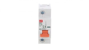 Wyłącznik modułowy LS Electric BKH 1P 100A charakterystyka D 06110335R0 BKH 1P D100A