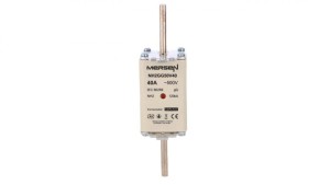 Wkładka bezpiecznikowa NH 2C 40A 500VAC gG M211082